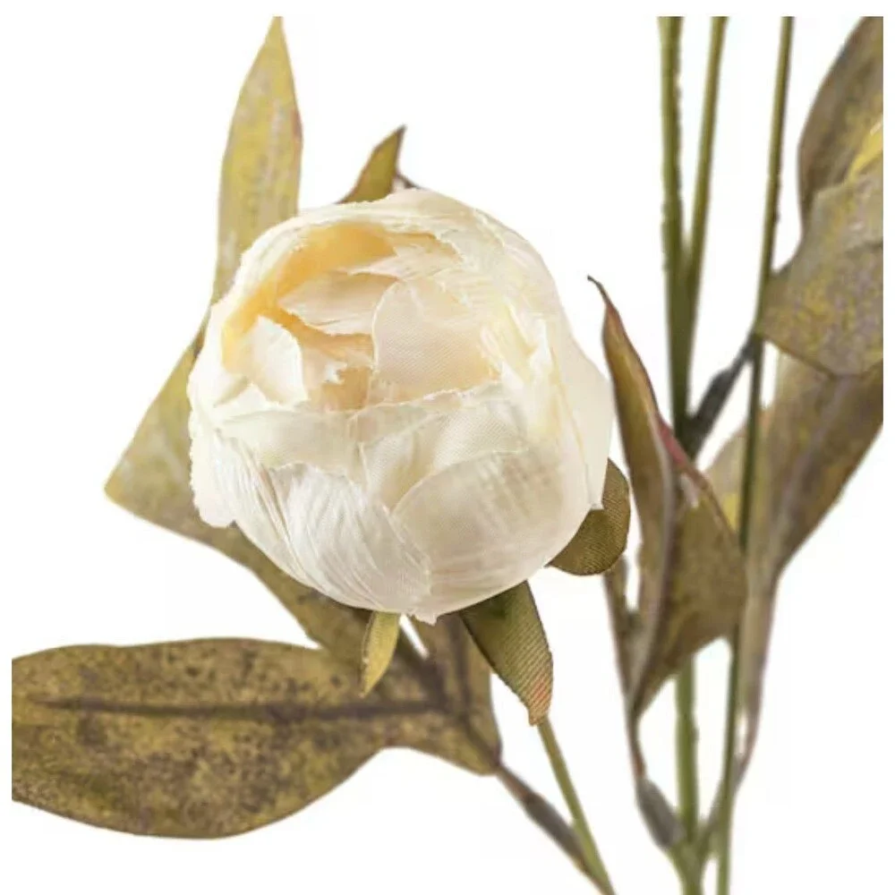 Brand New in Box 8 Viral Ashland Michael's Cream Peony Stems • Set of 8 • Peony